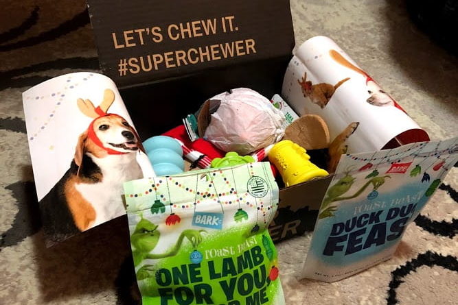 barkbox for super chewers